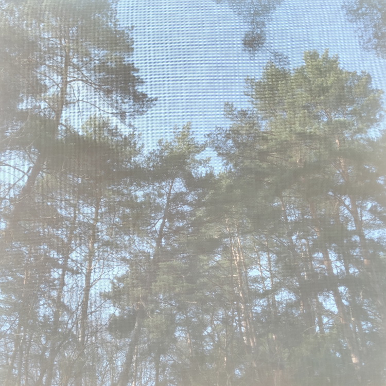 SCREEN 302 білий 10%